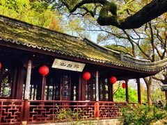 -上海醉白池公园
