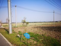 -嘉北郊野公园