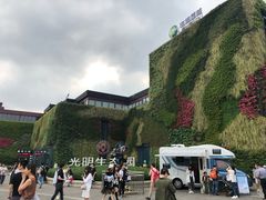 -上海国际音乐村