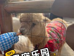 -茅山东方盐湖城景区