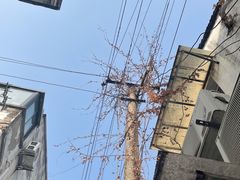-孙盛兴奥灶面馆·蟹黄面·三虾面(山塘街总店)