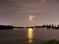 -丁香湖公园