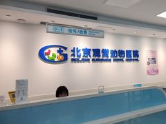 -北京观赏动物医院·24小时大型综合·猫专科·异宠专科