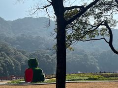 -广州市石门国家森林公园
