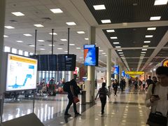 -谢列梅捷沃国际机场