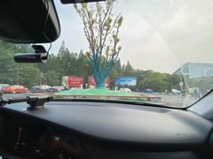 -东平国家森林公园