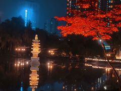 -木塔寺遗址生态公园