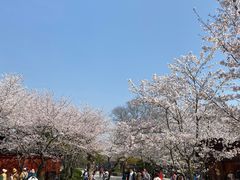 -广富林郊野公园