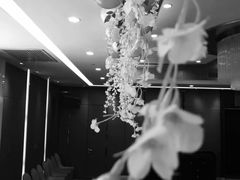 -宝华海景大酒店·望绿苑