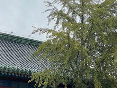 -历代帝王庙博物馆