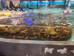 水产区-王庄阿咪海鲜大排档(象园店)