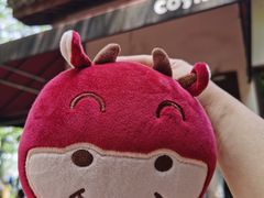 -COSTA COFFEE(西湖天地店)
