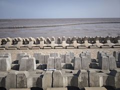 -南汇嘴观海公园
