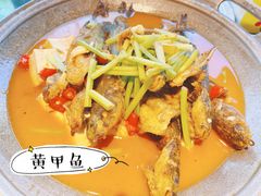 -福子家·闽北光泽菜(华林店)