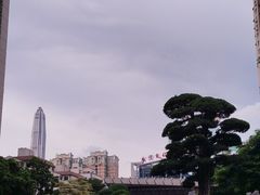 -水围村
