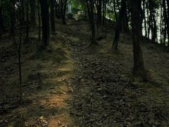 -南山植物园