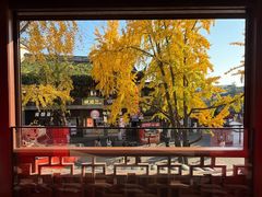 -奇芳阁·百年清真南京菜(夫子庙店)