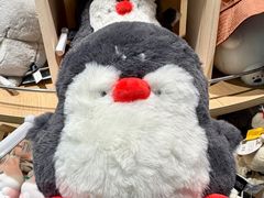 -大连圣亚海洋世界