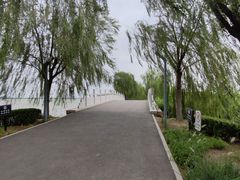 -天津东丽湖风景区
