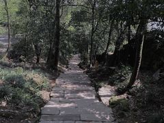 -青城山