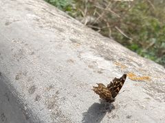 -终南山南五台景区