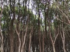 -同里国家湿地公园