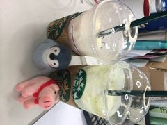 星巴克(万都店)-星巴克(万都店)