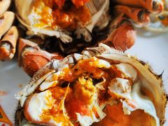 -呼吸森林·生态农庄农家乐私房菜