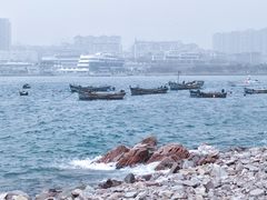 -小麦岛公园