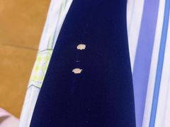 -VivienneWestwood(万象城店)