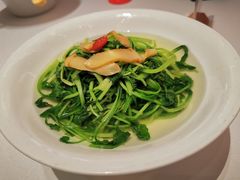 鸡毛菜清炒-森隆饭庄(崇文门新世界百货店)