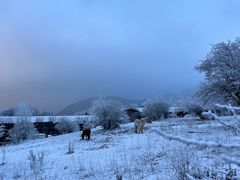 -太子岭滑雪场