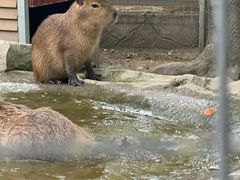 -宁波野生动物园