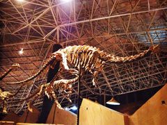 -世界恐龙谷景区