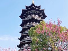 -洋湖国家湿地公园