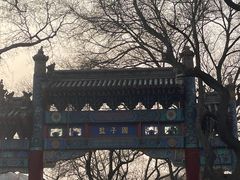 -北京国子监胡同