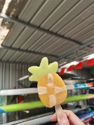 -剑鱼皮划艇俱乐部(石湖基地)