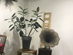 -素咫咖啡CLIFEROSE