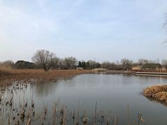 -长兴太湖图影湿地文化园