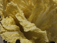 -海底捞火锅(宝龙广场夜宵主题店)