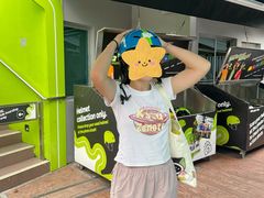 -圣淘沙天际线斜坡滑车