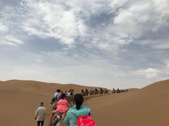 骆驼环线-沙坡头旅游度假区