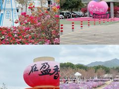-盈香心动乐园