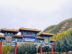 -塞罕坝国家级自然保护区