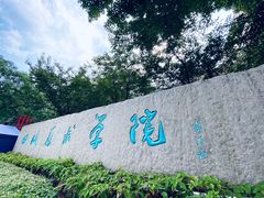-黄桷坪涂鸦艺术街