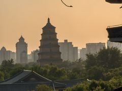 -亮宝楼国宴+文化陕菜