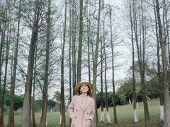 -松山湖南湖湾露营营地