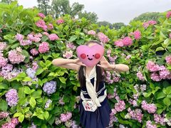 -无锡蠡湖国家湿地公园-蠡园