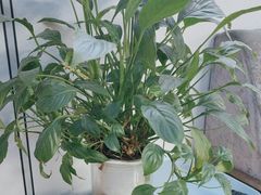 -名仕台球(保利广场店)