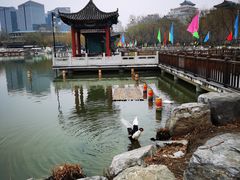 -莲花池公园